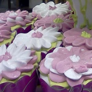 Meet your Posher, Ana-liza